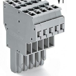 200_0200000900013901000100b6_EN