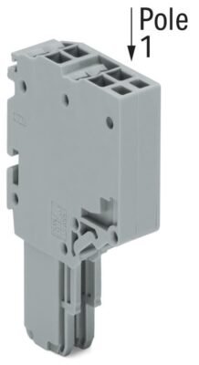 200_0200000d0000247c000100b6_EN