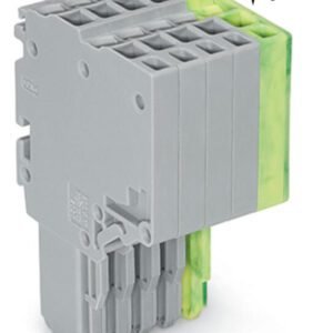 200_0200001000024c07000100b6_EN