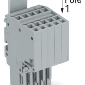 200_02000011000029f9000100b6_EN