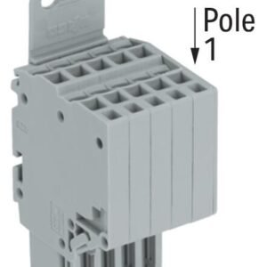 200_0200001100002b13000100b6_EN