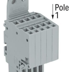 200_0200001100002c2d000100b6_EN